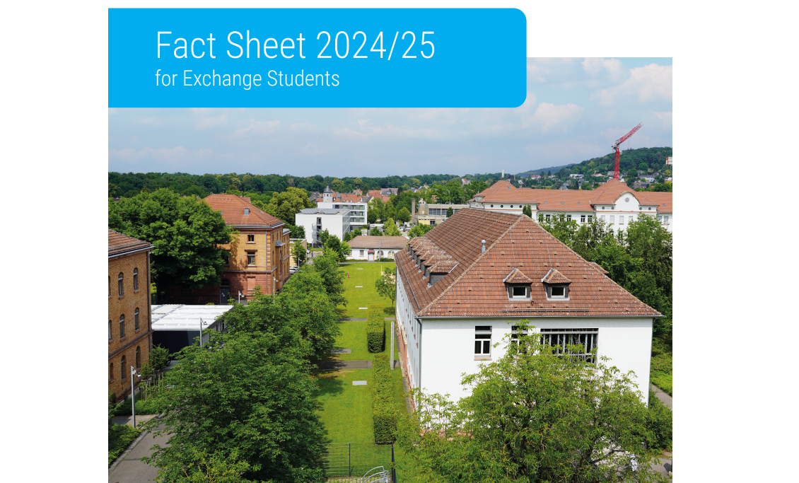 Exchange study program for students at Aschaffenburg University (Germany)