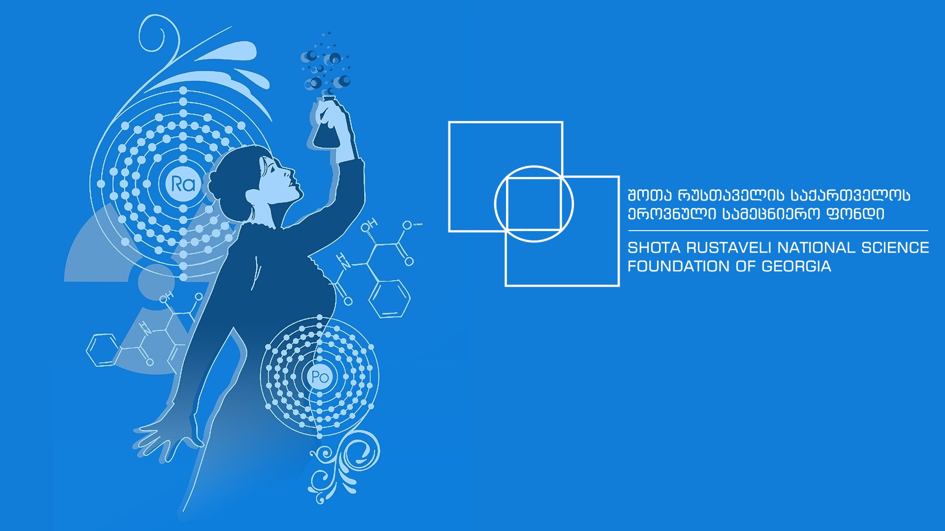 The SRNSFG announces the 2019 Call for Research Grants for Young Scientists