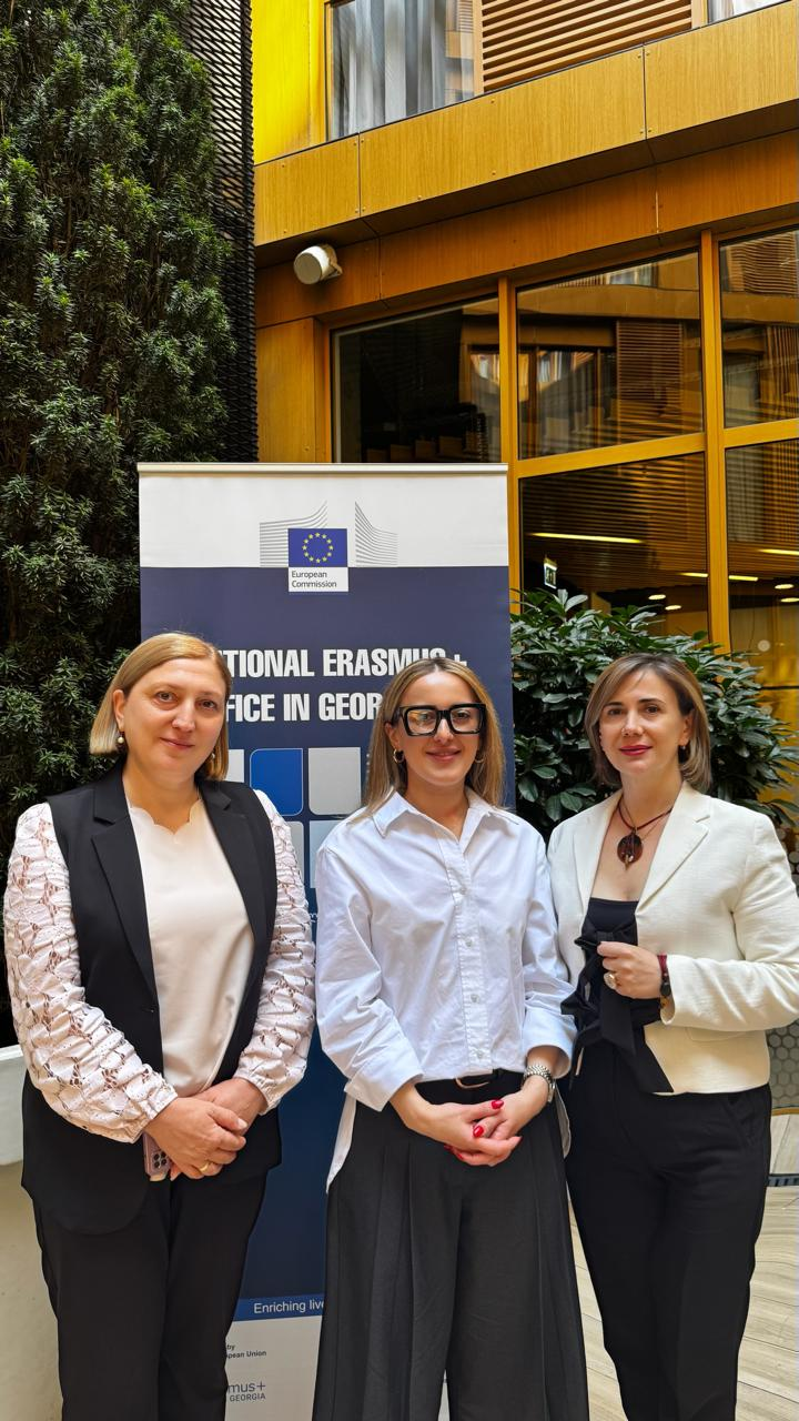 Artificial Intelligence in Research: Tbilisi Humanitarian University at the Erasmus+ Technical Assistance Mission (TAM)